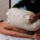 Foam bag for oriental hammam ritual + fine foam soap